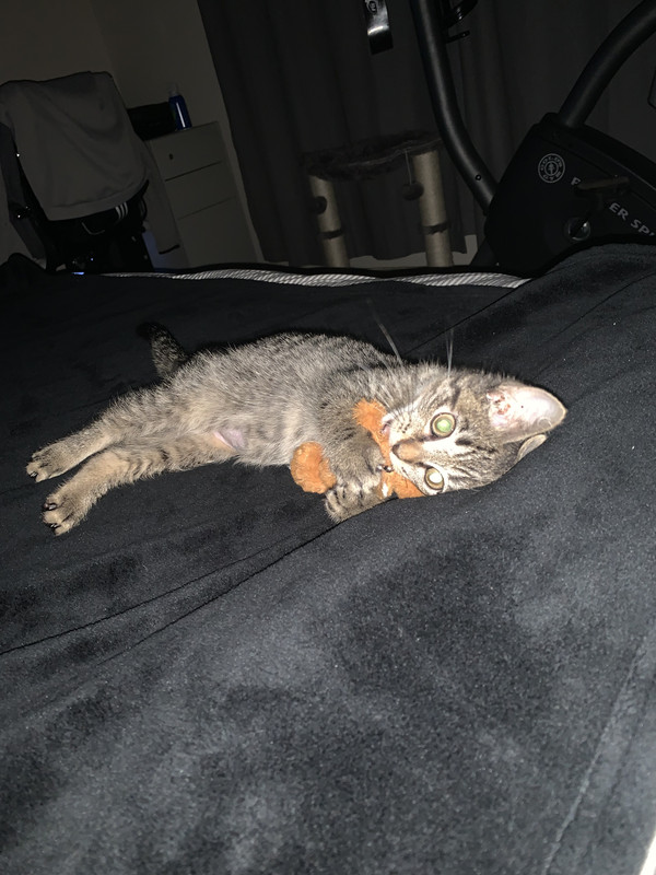 8D1D39FC-A5A0-4646-89E5-5DFCA209C271