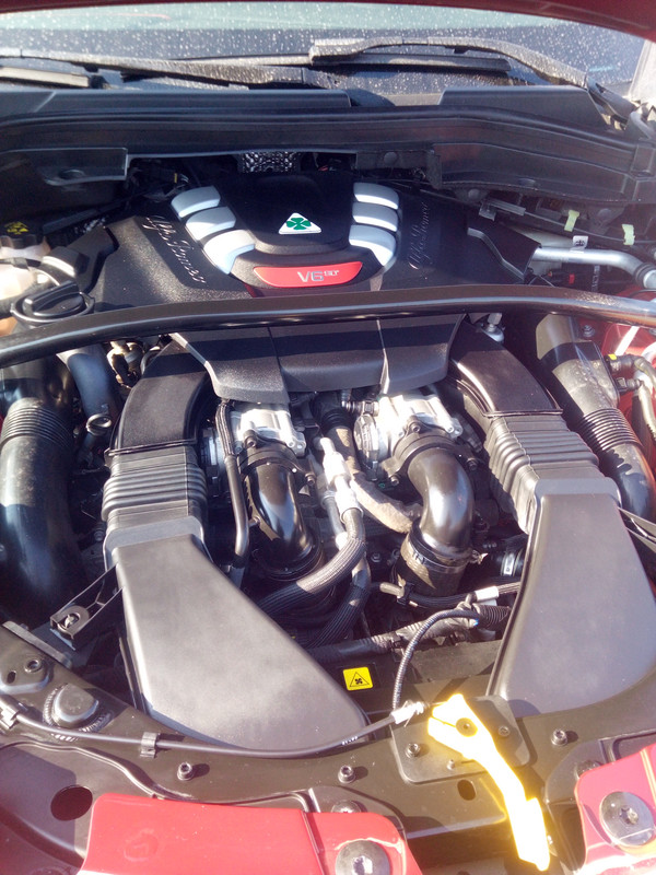 IMG_20220319_094455