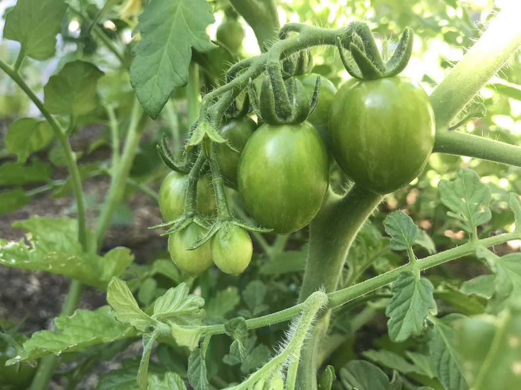 0EDF3CA6-6812-4ABD-AE5F-235F60BF9040