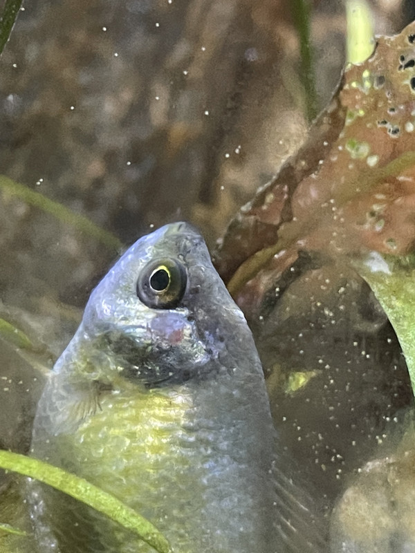 A3FC747E-6B17-4E41-8428-374106082816