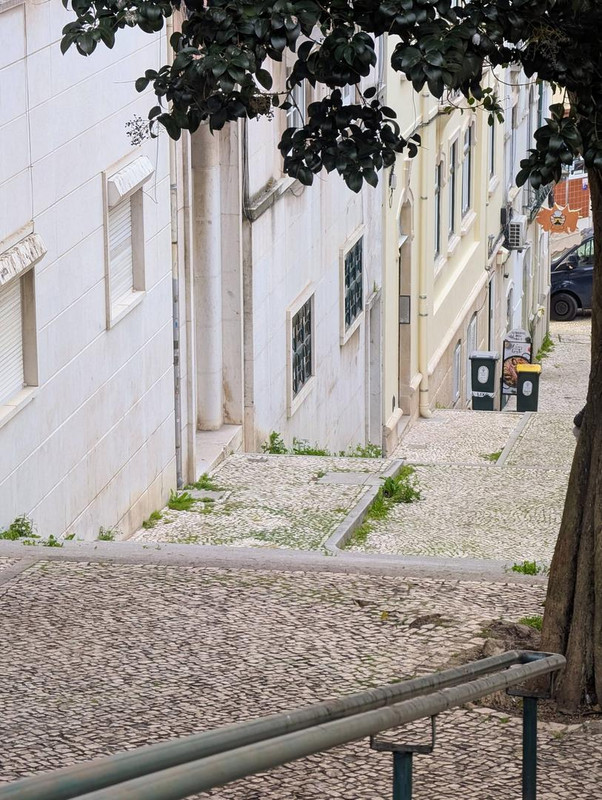 645287386 25611378148561814 6326819048551178707 n