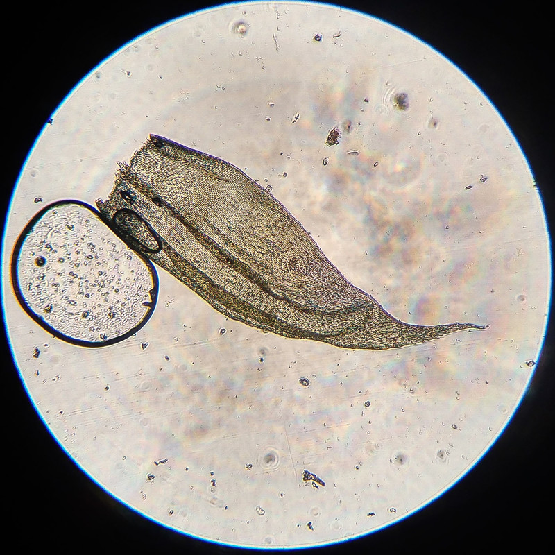 IMG 20250616 212753 HDR