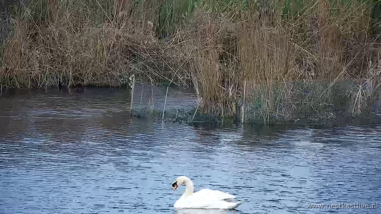 snapshot 2026 03 31T112006 717