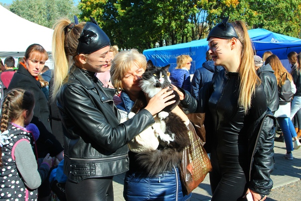 3E623D34-FB72-45D5-8896-BDAD794F0C67