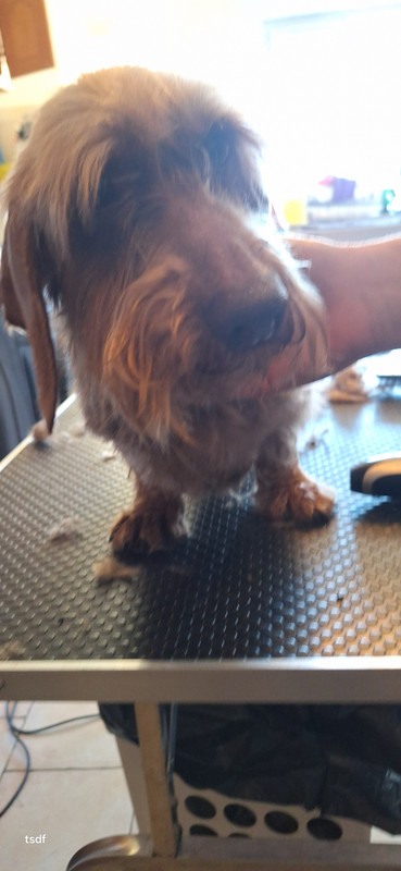 [Image: 20250305-113839.jpg]