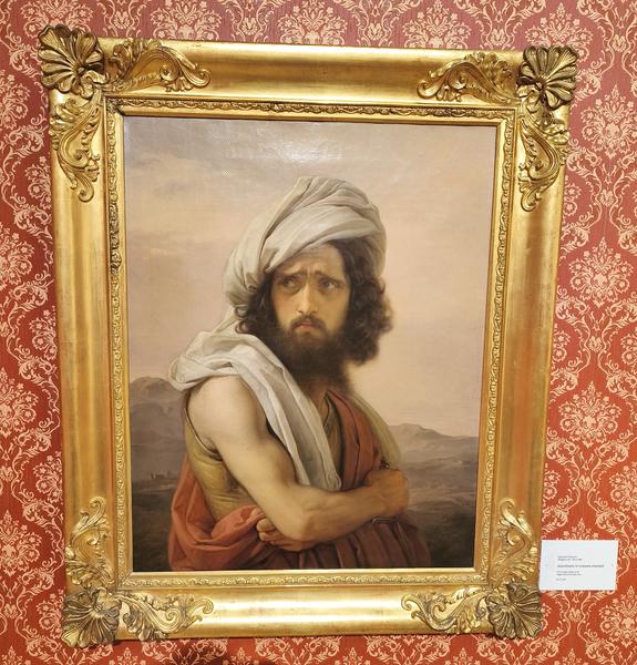 Milán-Turín-Génova-Pavía - Blogs de Italia - Pavía: la famosa batalla y sus torres medievales (119)