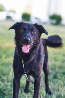 E9D56C9C-7306-4427-BA4B-B1F6979FAC98