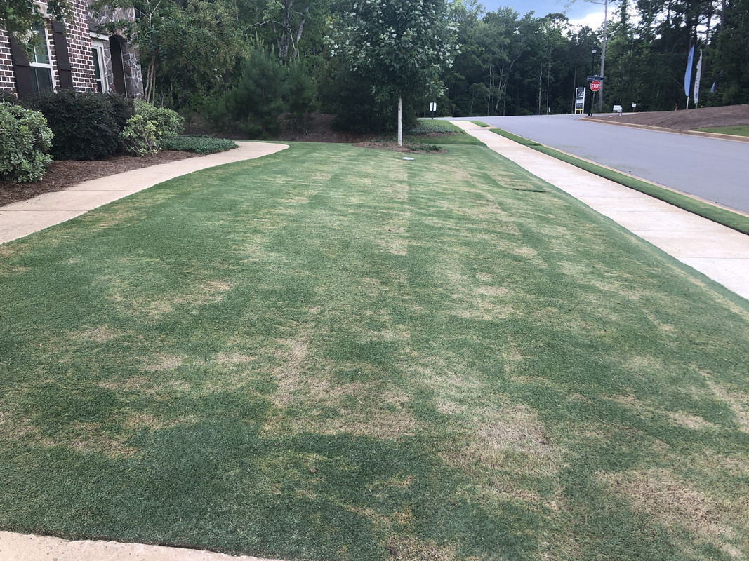 06A68885-38C5-4463-8190-249C1E34351B