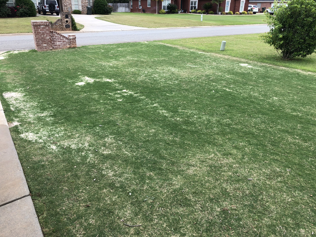 F4C25178-E9C2-4839-9A2F-8CA51A3CC721