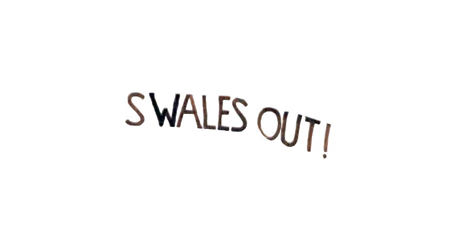 Sw-ales-99.png