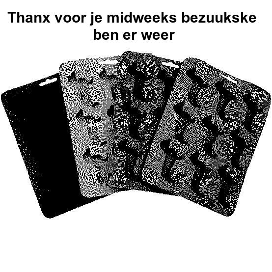 ijs.jpg