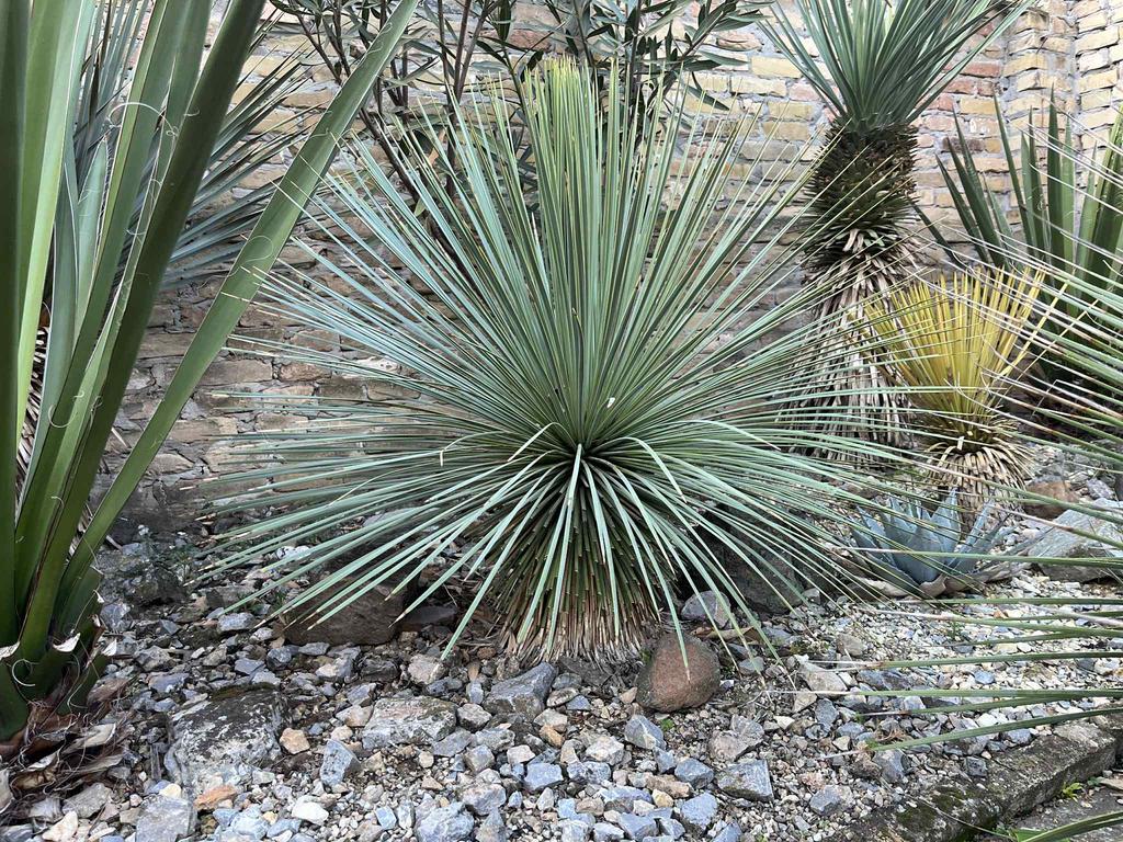 ffa4a117 7a8b 4f33 86a9 bc10e7a21e69