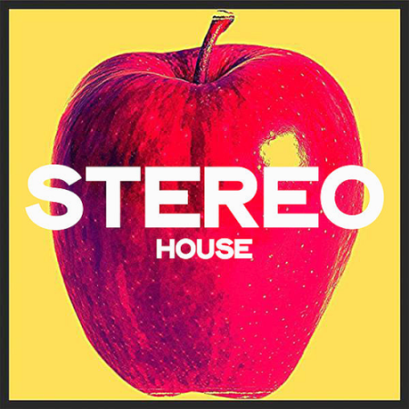 VA   Stereo House (Top House 2020 Winter Selection)