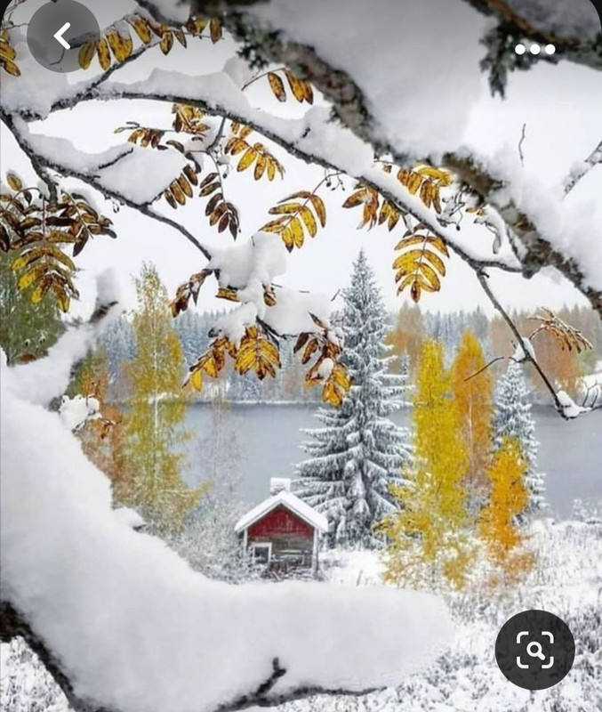 Screenshot_20231102_001021_Pinterest