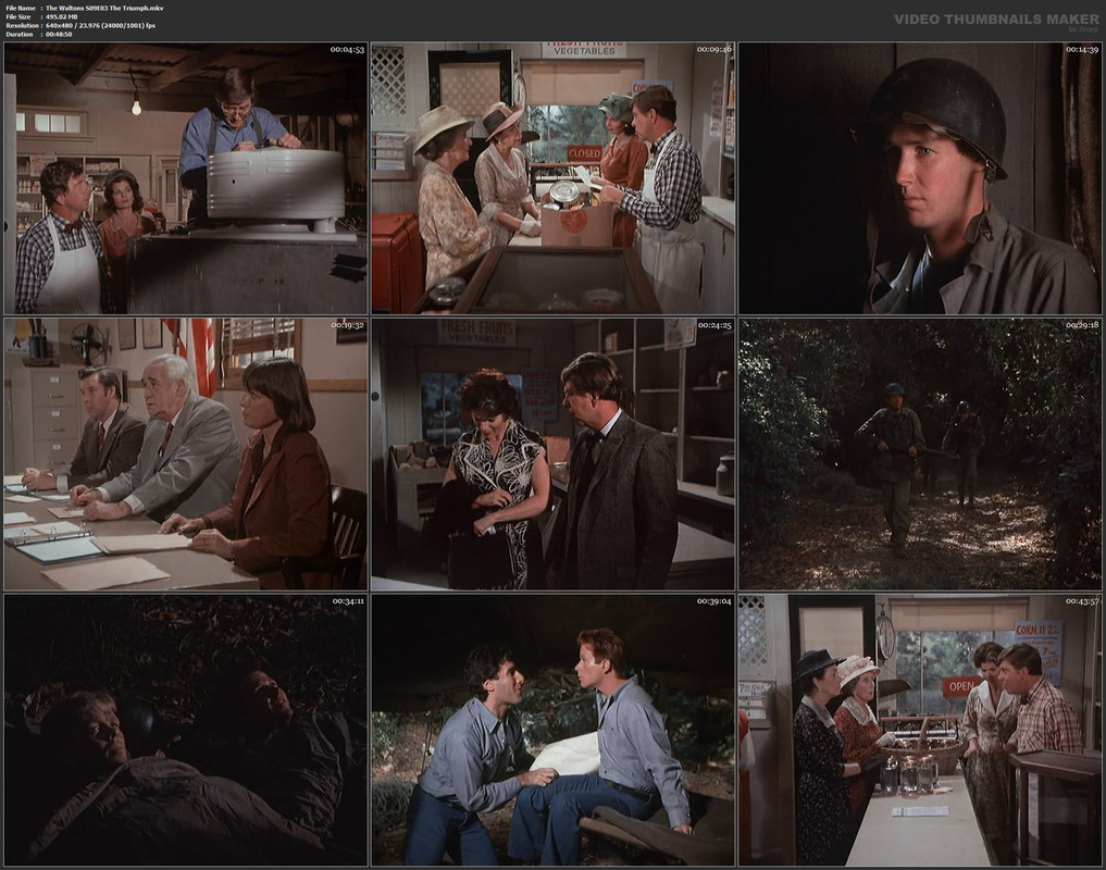 The Waltons S09E03 The Triumph.mkv