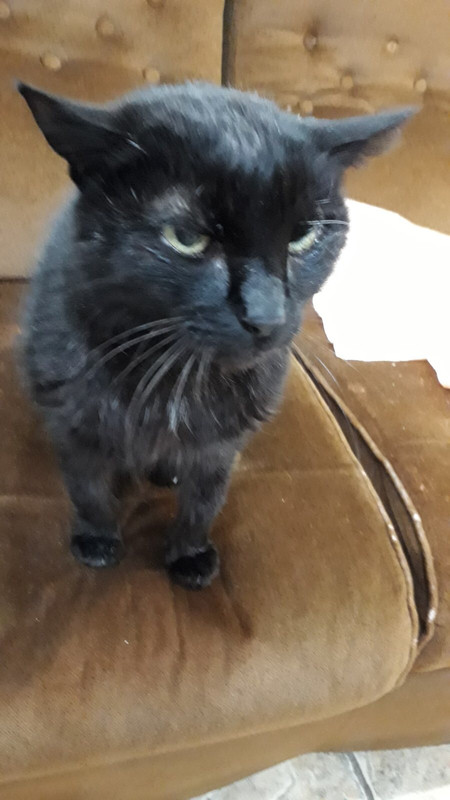 6FDC62FE-16D4-4E56-97DC-952B6E901C23