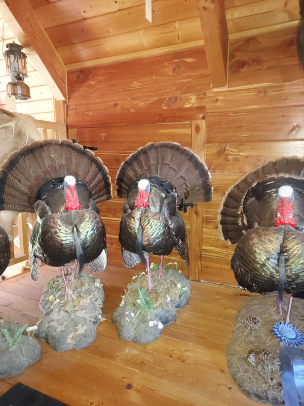 Resized 20260312 123550