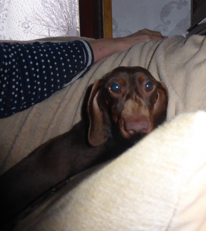 [Image: P1010875.jpg]