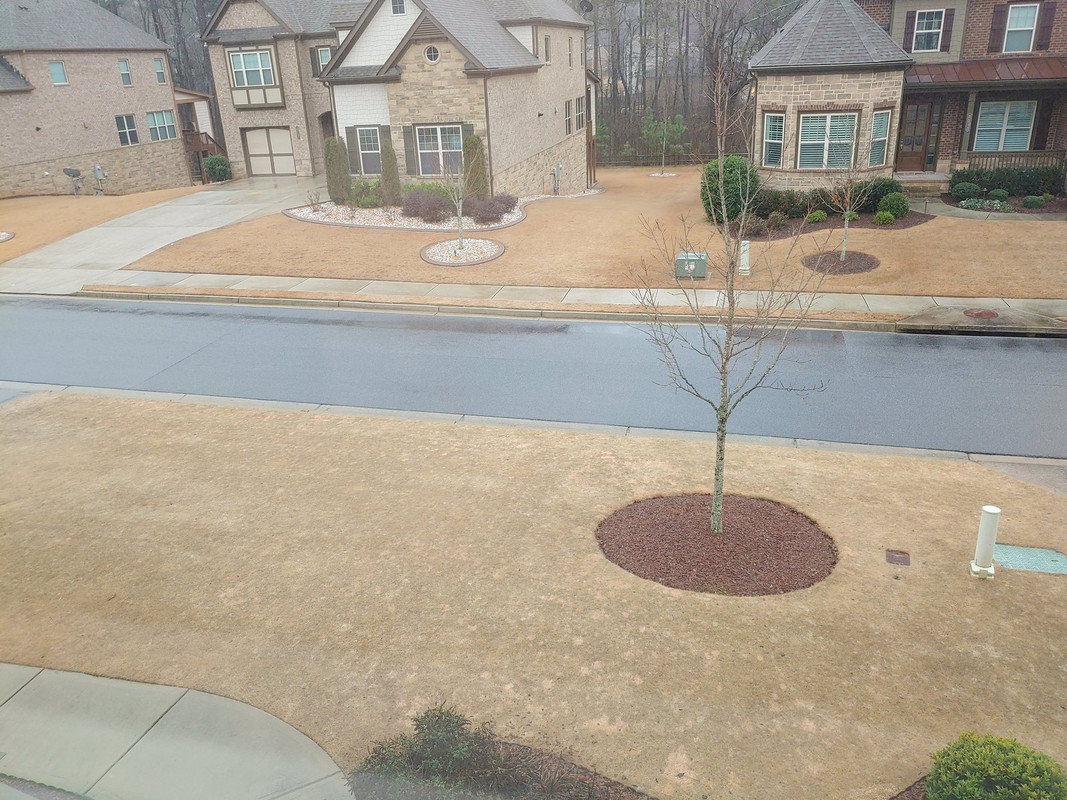 Spots in Dormant Bermuda Lawn Care Forum