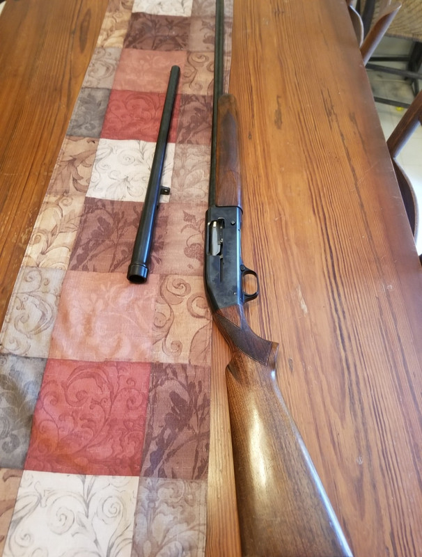 Screenshot_20230409_102034_Gallery