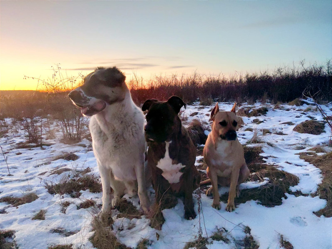 C2C0D55B-1B8A-4514-9BE8-8D6EAB311A83