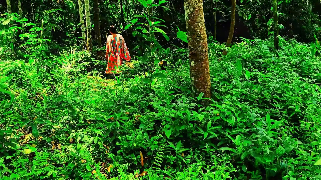 Fuckd and Sexy Talk in the Jungle with the Neighbor.mp4_snapshot_00.24.000