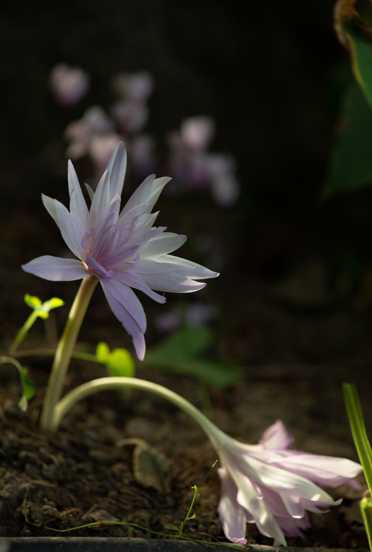 IMG-87d9ea23a5a936d4762bcc5760cd12b9-V