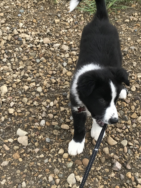 0705090F-5E70-4700-966D-CD586E43E50A