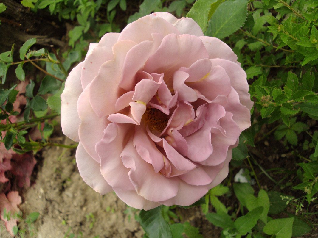 052