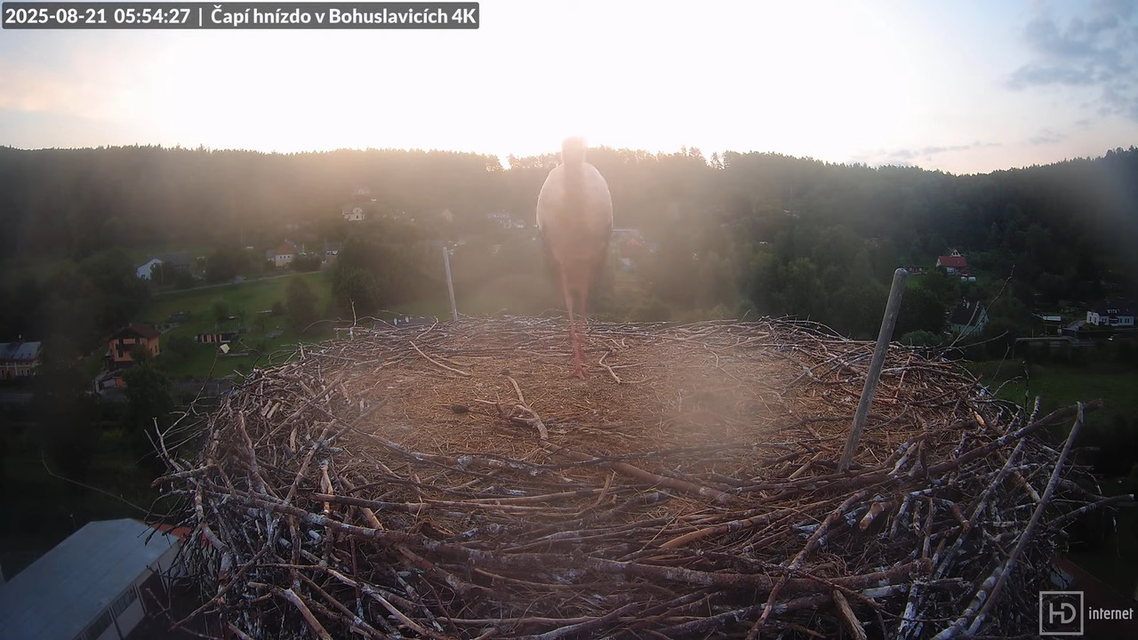 Živě z čapího komína firmy KARA v Bohuslavicích u Trutnova 6-43-16 screenshot