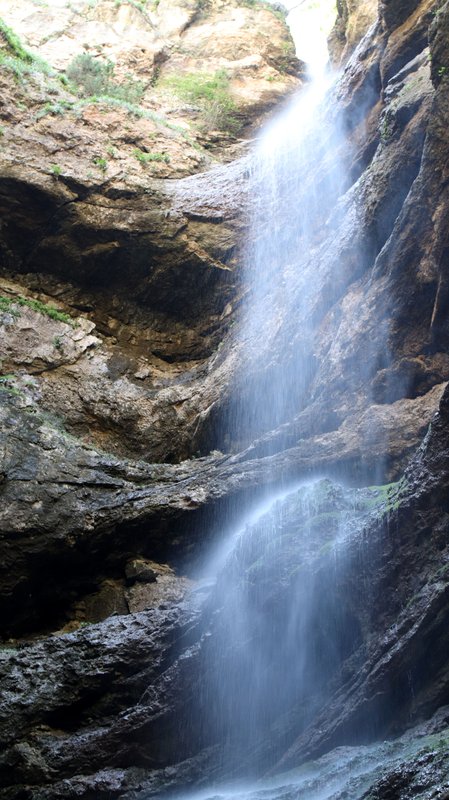 IMG-2645.jpg