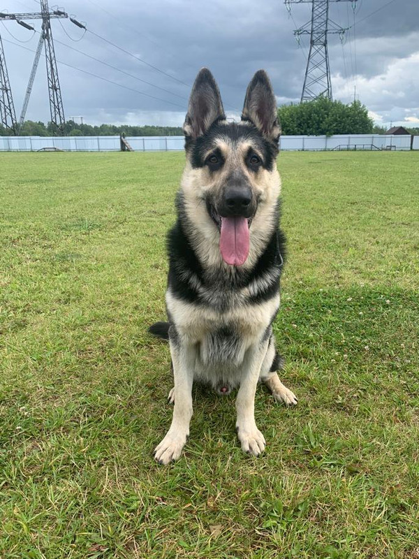 76Y2yQai-SBpB8c1sBD_2rUBMesJqv51691hYuh7v_uuVc3xBaW9yFT5sCbYCA5A5xtZ1J7_NLRz2O7iNV1_J0-P