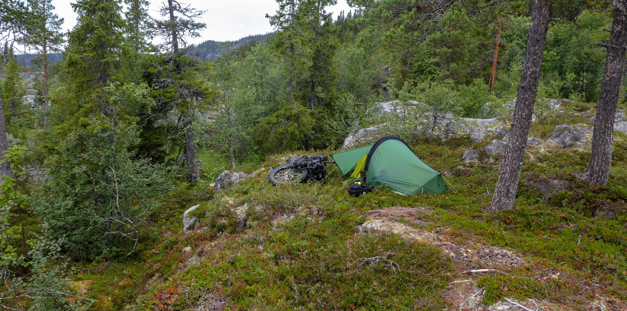 [Linket bilde fra i.postimg.cc]