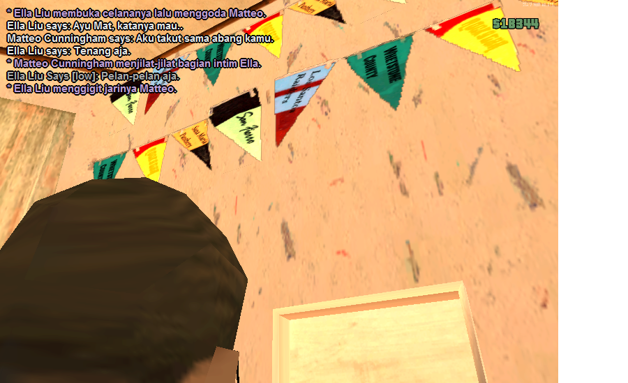 SS4.png