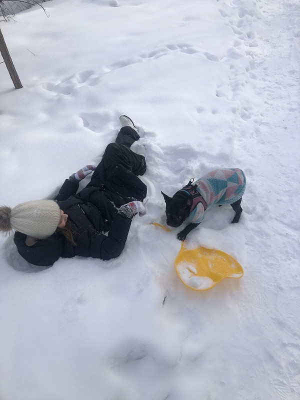 291F5009-C576-496D-A6E7-2E95C0587E5B