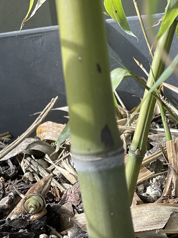 686BF44D-89E7-4928-BB4A-D8459D44E229