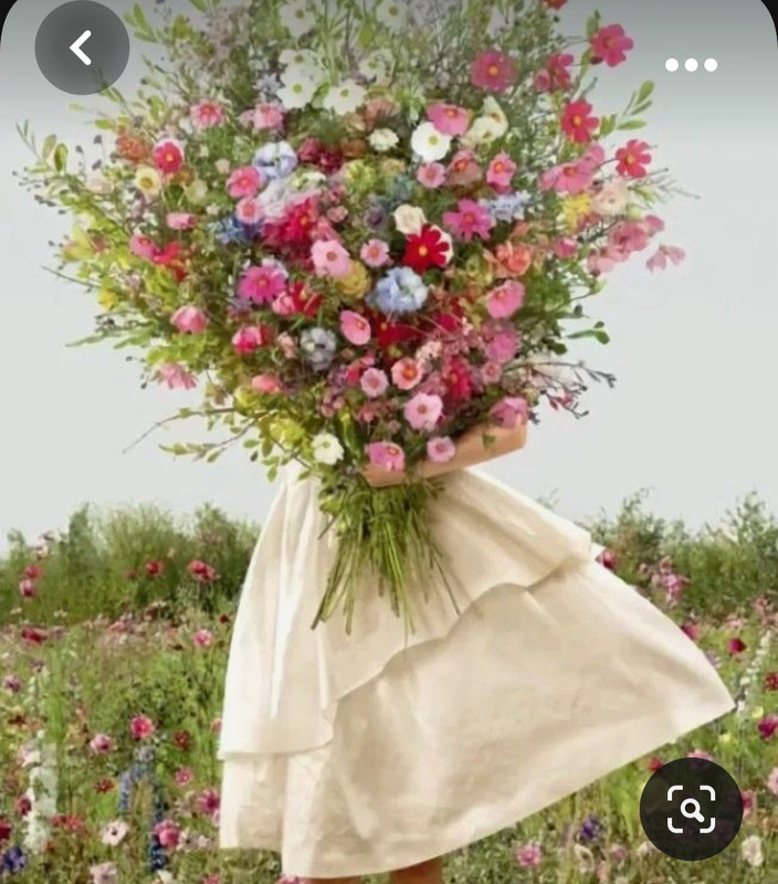 Screenshot_20231102_193217_Pinterest