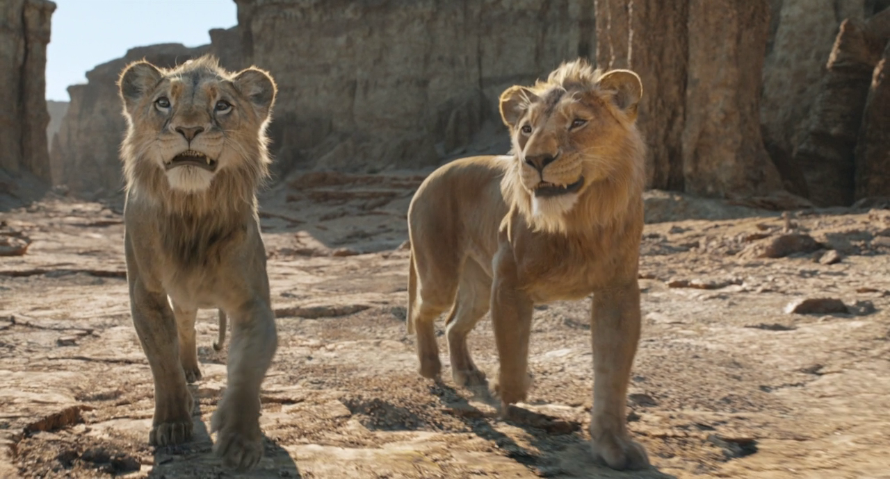 vlcsnap-2025-04-01-19h17m36s077