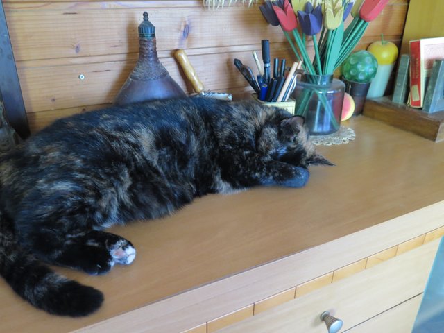Slika