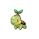 turtwig.png