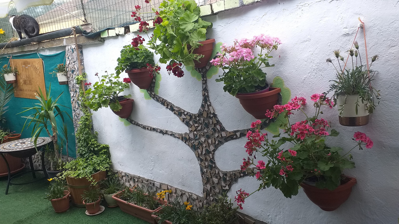 358356983_10227006717771294_1857773597552846150_n