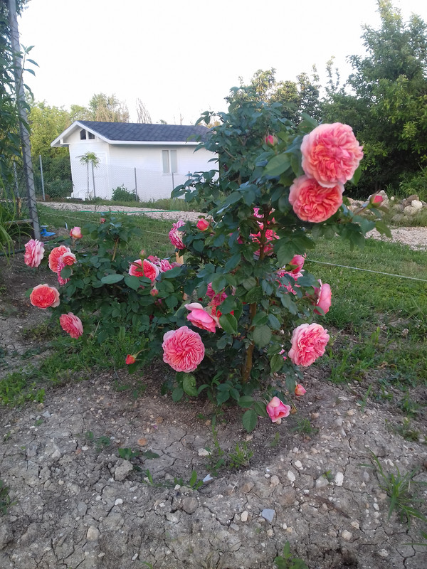 20180523_195515