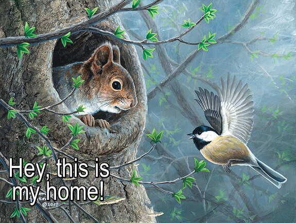 resized_this_is_my_home