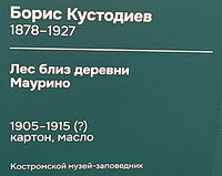https://i.postimg.cc/Nfs5THvk/12.jpg