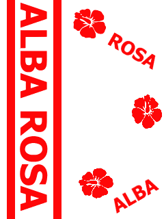 b010