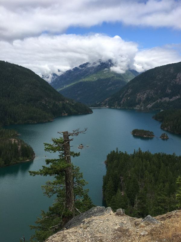 79029B3D-0F3E-496A-AFE1-3012FB7E7D16