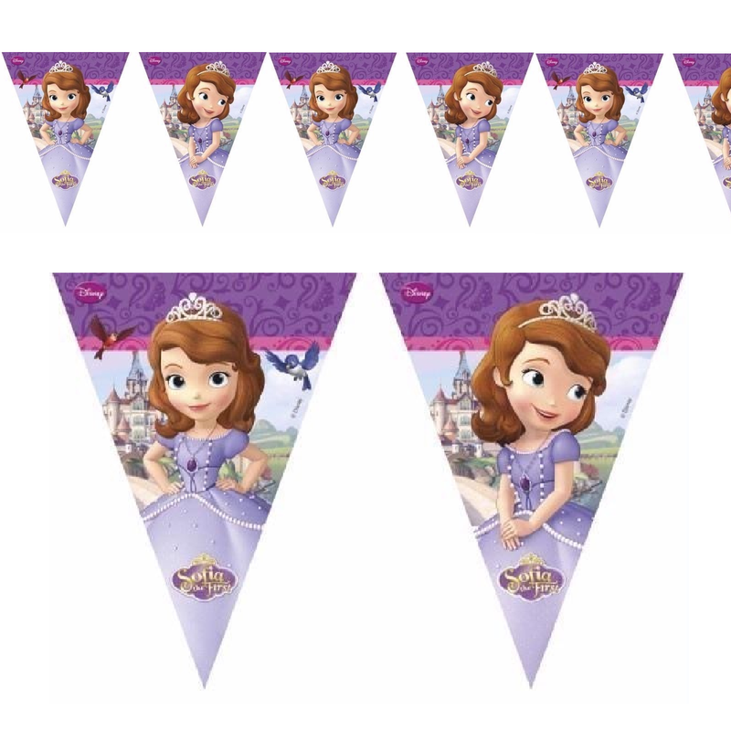 Sofia The First Flag Banner Bunting Children S Birthday Party