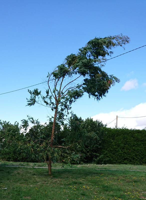 [Image: 20230802-115158.jpg]