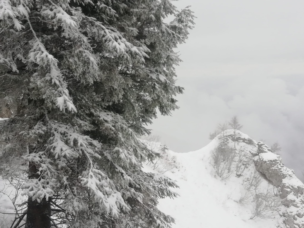 A0B731CC-9822-463B-A8A5-7B43A8C617AA