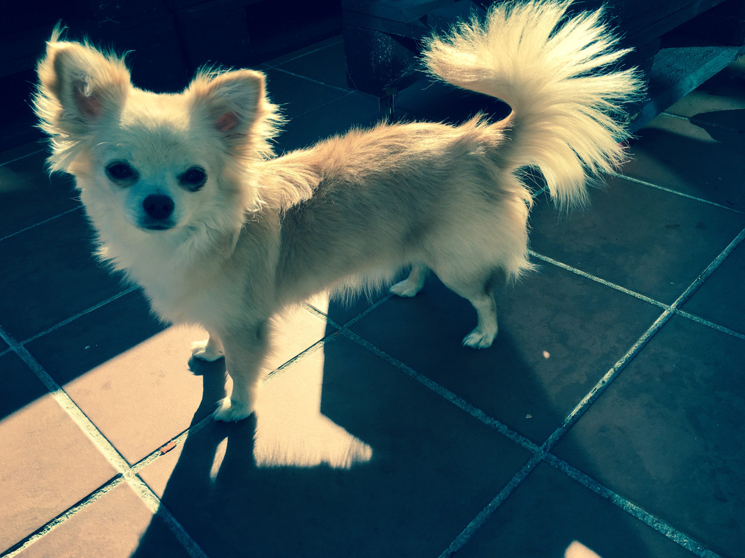 F8ADF624-0F73-43A0-A949-247658EA1B3B